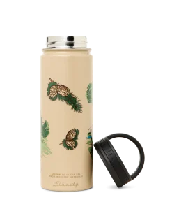 Insulated Water Bottle