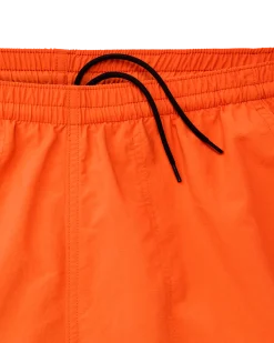Oxbow Lake Trunks